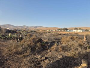 Parcela 1 en Llanos de la Concepción