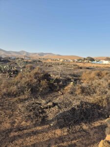 Parcela 2 en Llanos de la Concepción