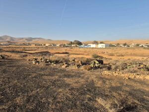 Parcela 2 en Llanos de la Concepción
